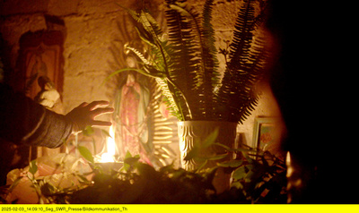 Magic Mushrooms - Zwischen Trip und Therapie