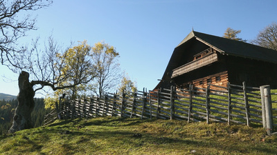 Roseggers Waldheimat - Ein Jahr im Zauberwald