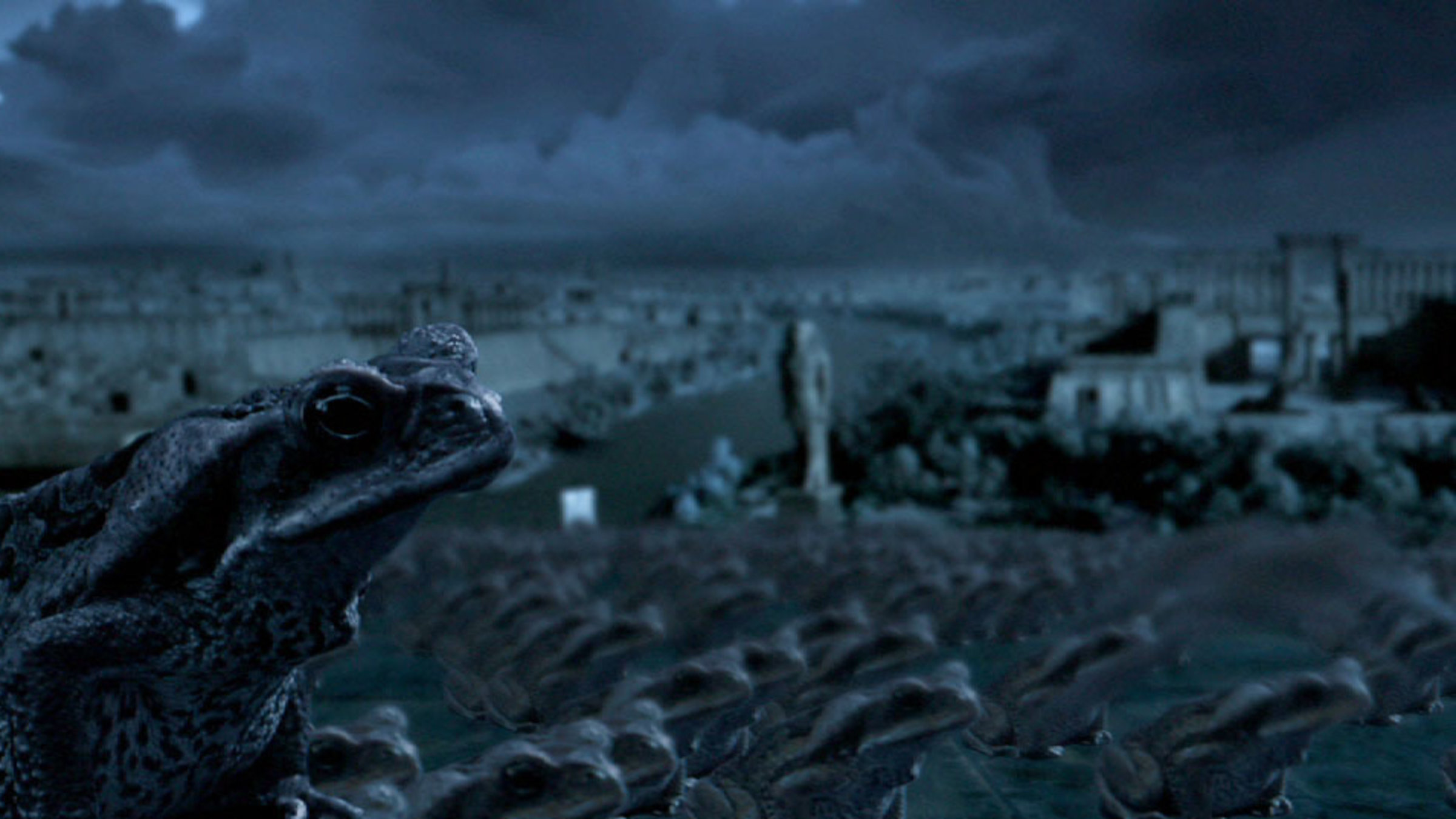 "Terra X - Die Biblischen Plagen - Finsternis über Ägypten": Viele Frösche wandern im Dunkeln an Tempelanlagen vorbei.