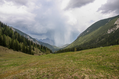 Naturparadies Seefeld - Im Reich des Wanderfalken