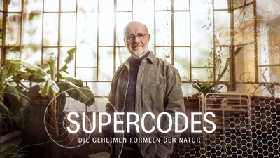 Supercodes - Die geheimen Formeln der Natur (1/2)
