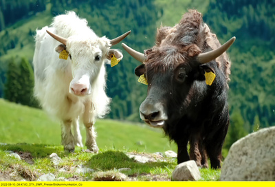 Faszination Österreich - Tirol
