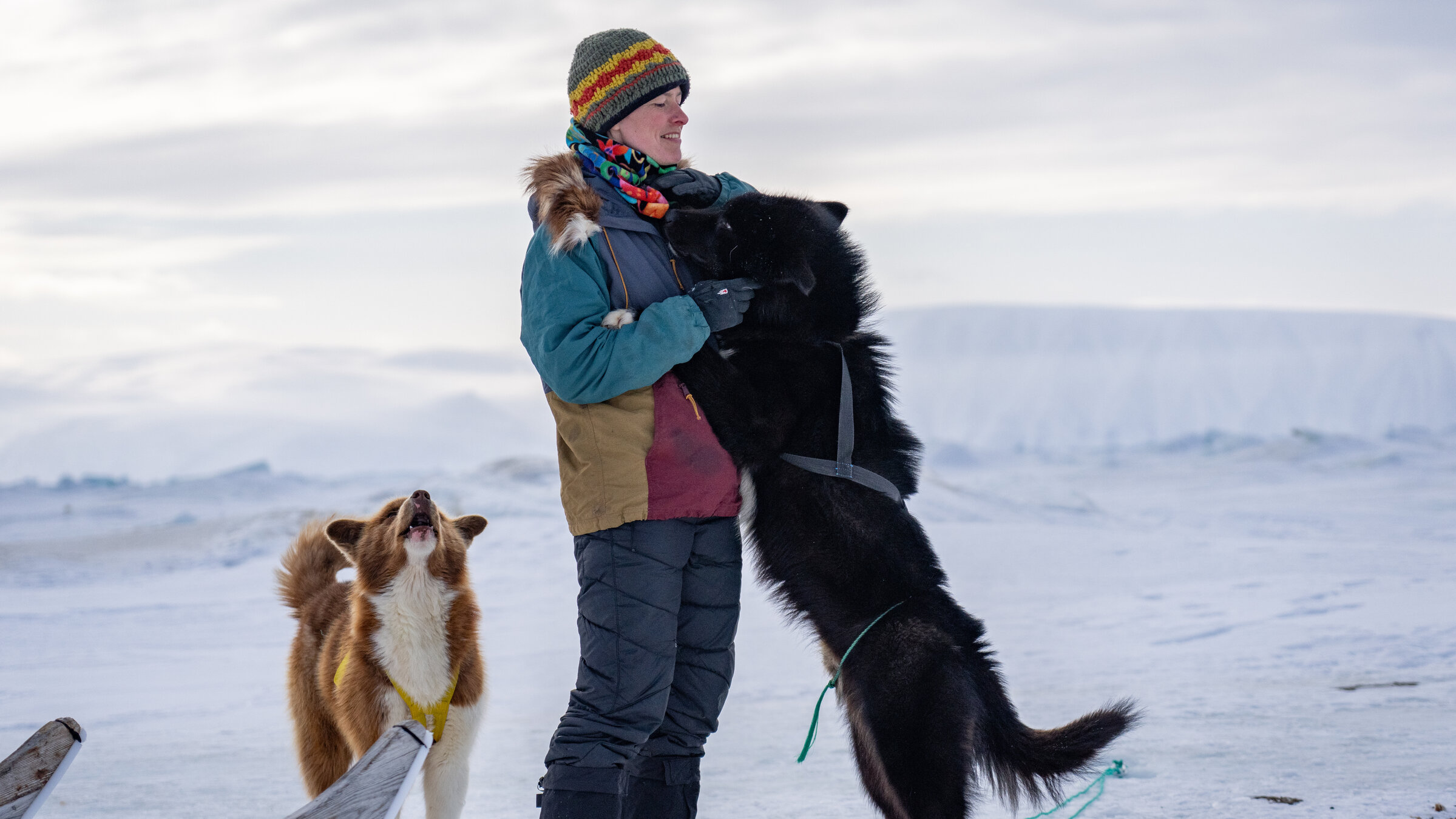 "Grönland - Leben mit den Inuit": Josefin Kuschela steht in einer Schneelandschaft. Ein schwarzer Schlittenhund steht auf den Hinterläufen und hat seinen Kopf an die Schulter von Josefin gelegt. Hinter den beiden steht ein weißbrauner, heulender Schlittenhund.