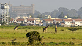 Wildes Nairobi