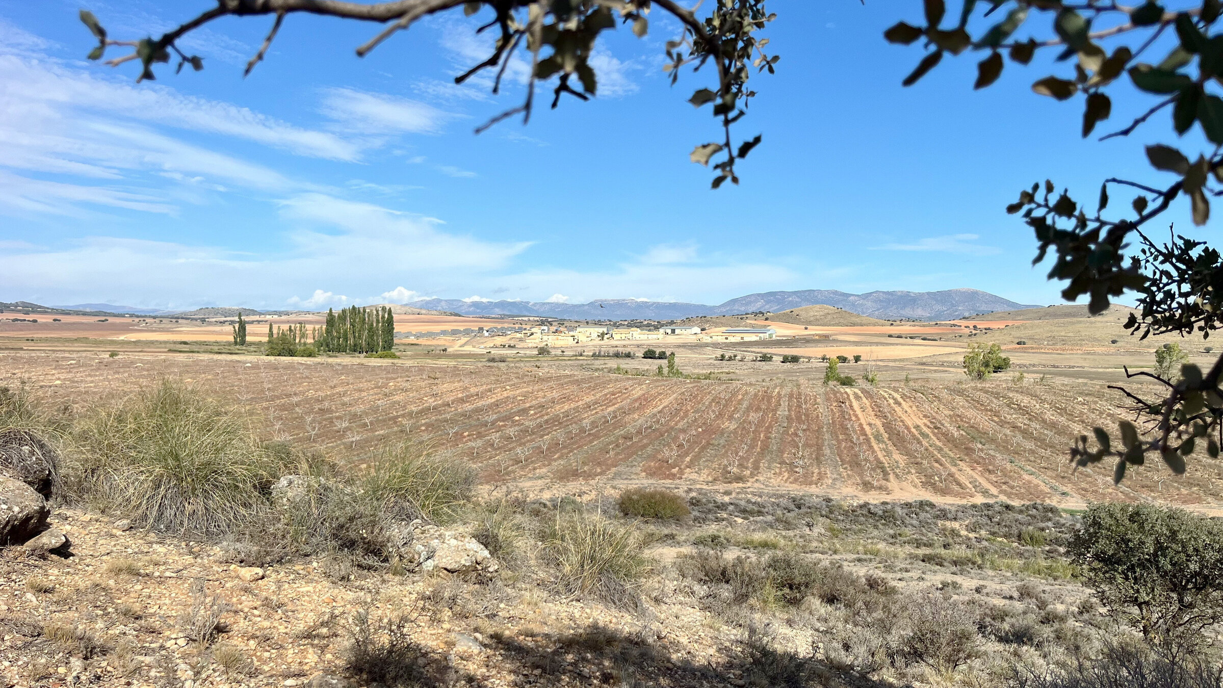 "Mission Boden – Gesunde Erde, gesunder Mensch": Das Klima ist in den letzten Jahren unberechenbarer geworden, Extremwetterereignisse nehmen zu. Ein gesunder Boden kann diese abpuffern. Doch mehr als 60 Prozent der Böden in Europa sind in einem schlechten Zustand und können ihre Funktionen nicht mehr erfüllen.