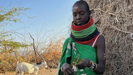 Überleben in der Dürre: Wie Kenias Menschen Strategien<br/>gegen den Klimawandel entwickeln