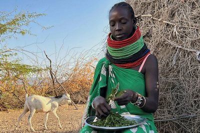 Überleben in der Dürre: Wie Kenias Menschen Strategien<br/>gegen den Klimawandel entwickeln