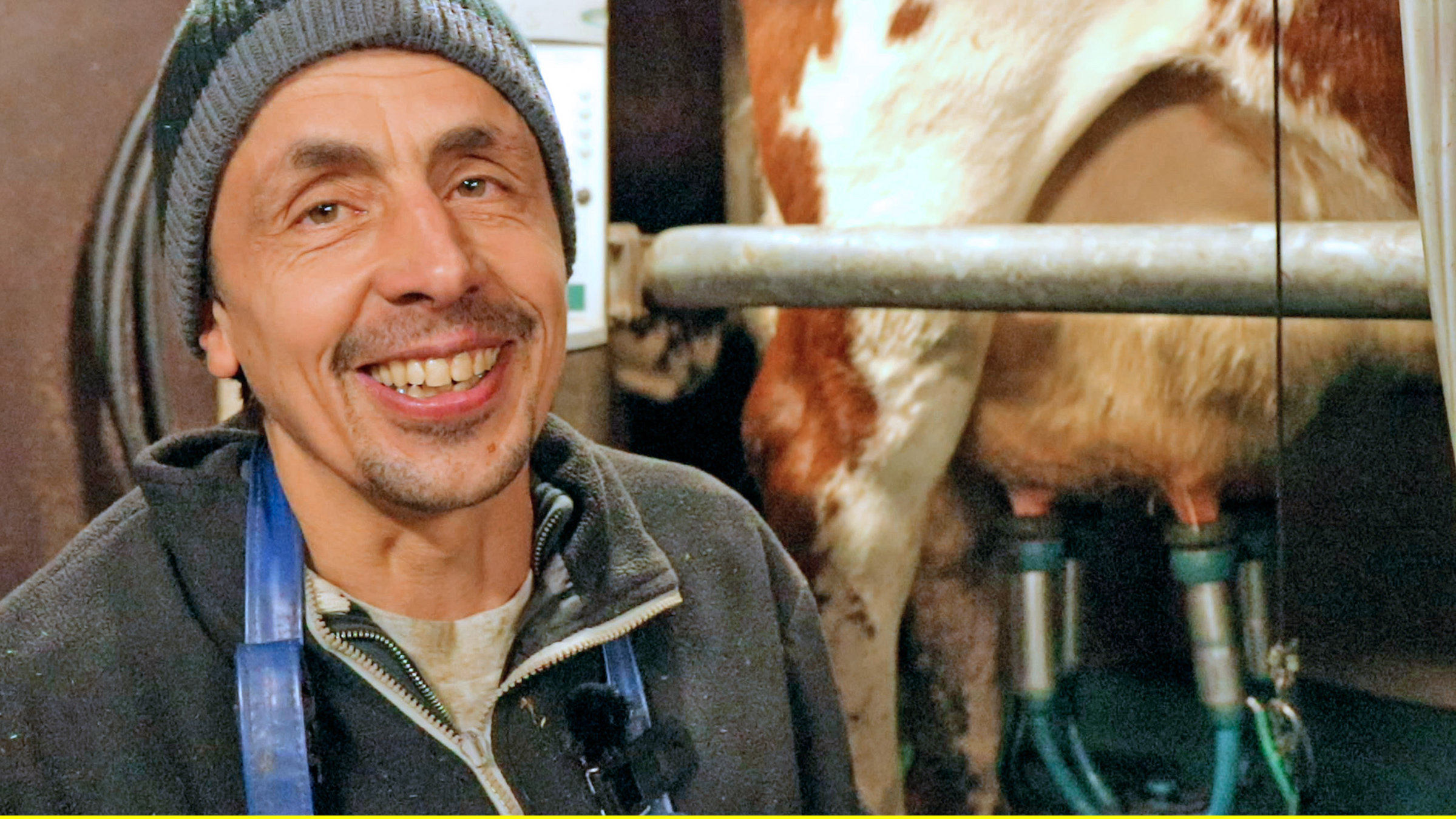 "Der Bauern-Retter - Christoph Hog springt ein": Betriebshelfer Christoph Hog im Melkstand.