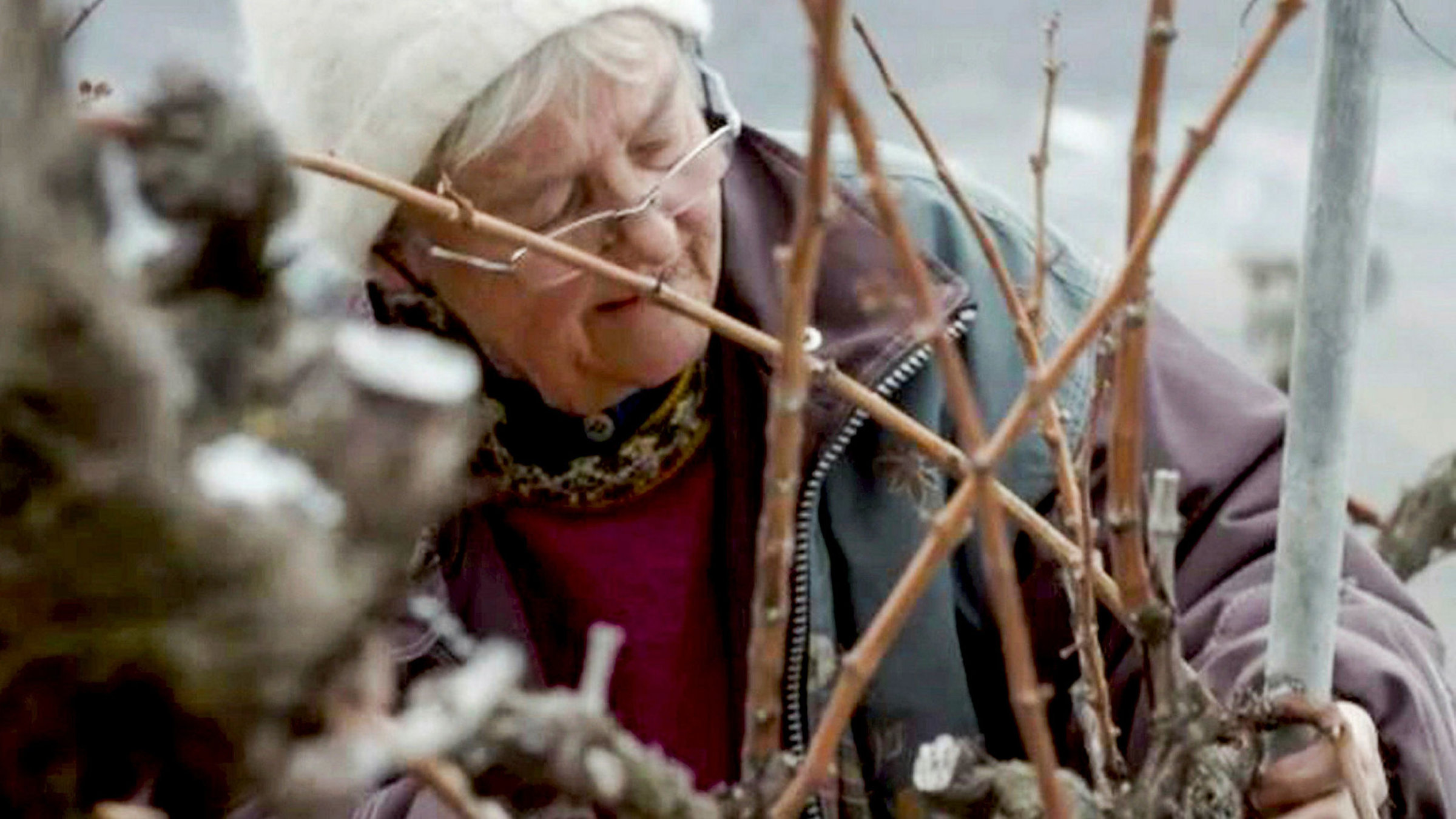 "Ein Jahr in den Rebbergen - Winter": Marion schneidet die Reben.