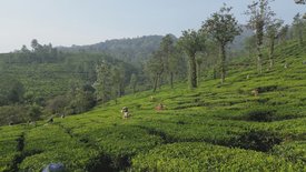 Kerala - Indiens tropischer Garten