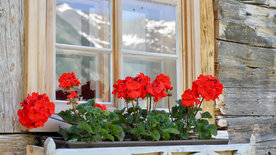 Bergsommer  im Kaunertal