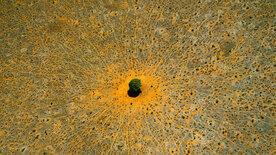 Natur - Die Geschichte unseres Planeten