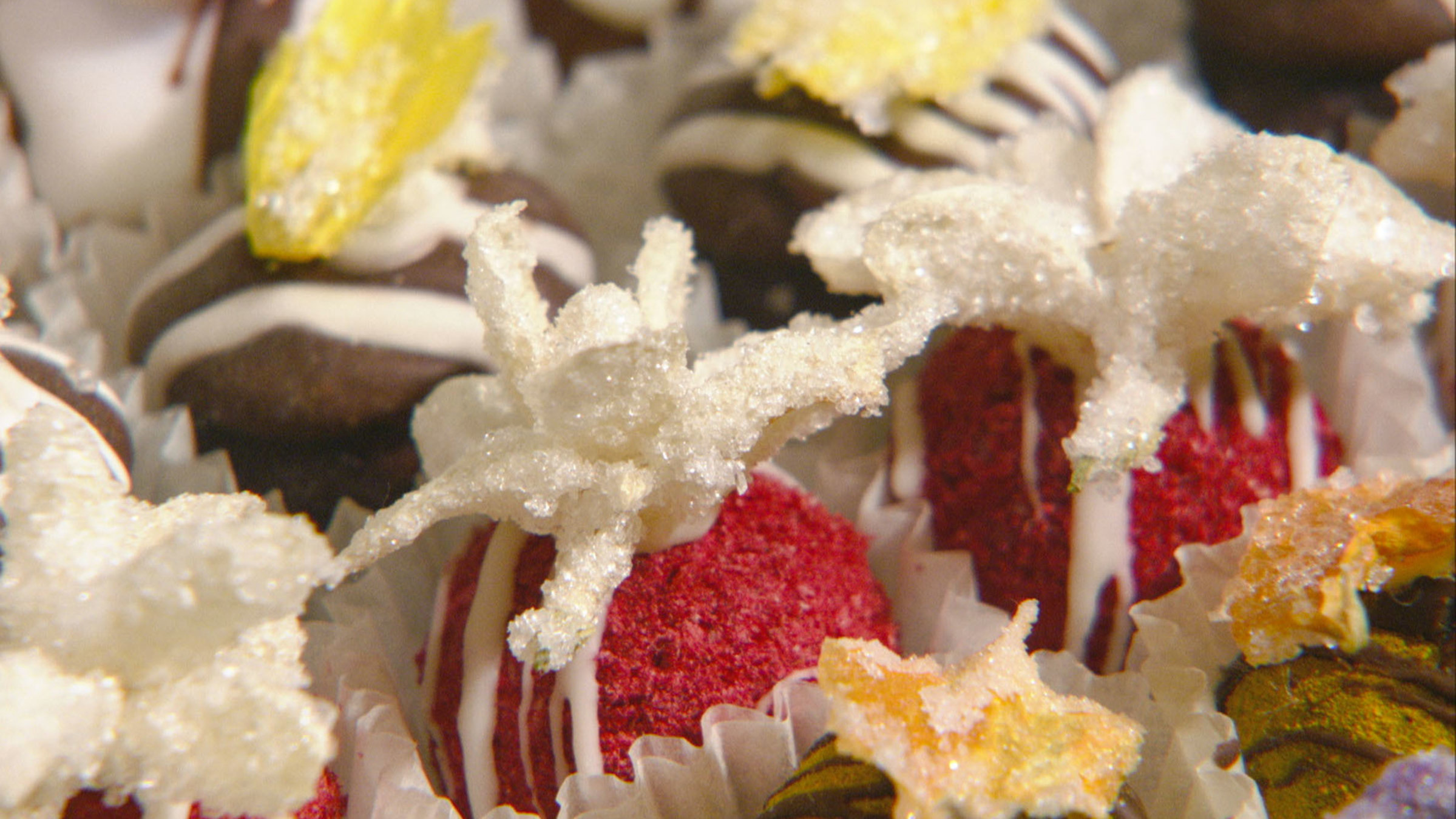 "Meisterstücke: Blühendes Konfekt": Blühendes Konfekt.