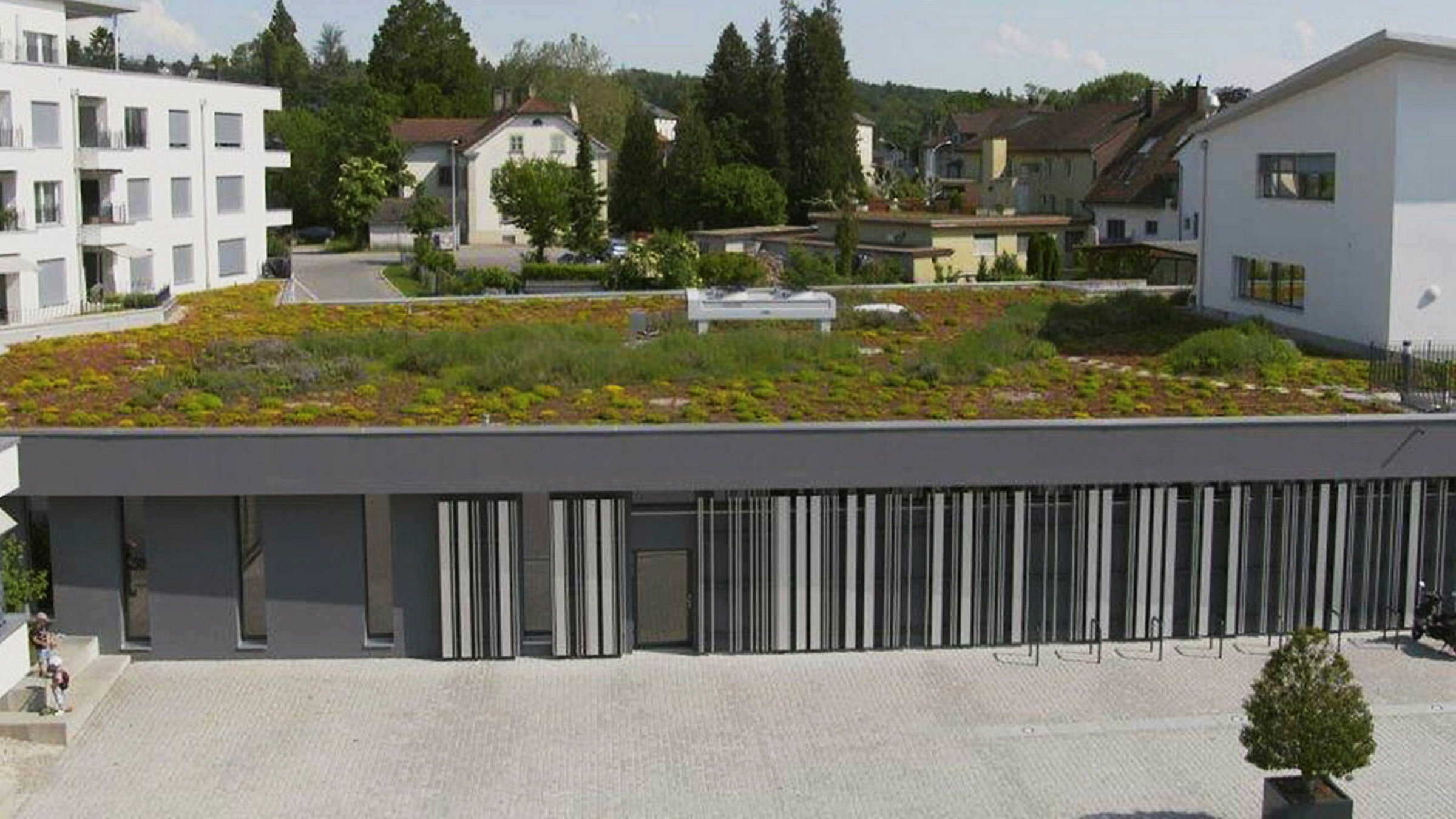 "Biodiversität in Gefahr - Was tun?": Dieses Flachdach soll biodivers begrünt werden