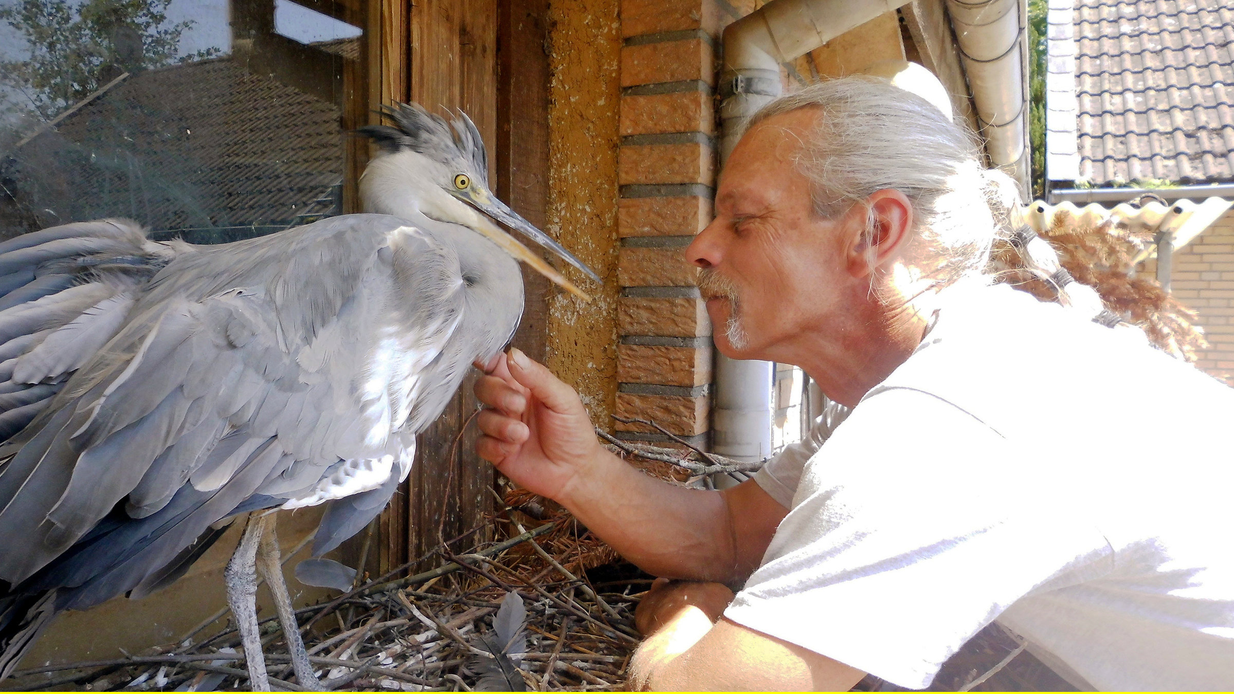 "Unter Reihern": Jörg Hartmann und Reiher "Sweetie" verstehen sich.