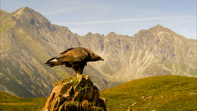 Wildnisse im Herzen Europas - Österreichs Nationalparks