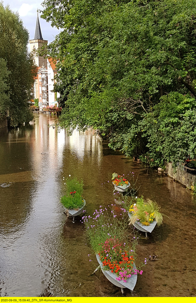Erfurt, da will ich hin!