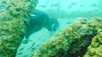 Die Berge der Zukunft - Vom Weissensee in die Karnischen Alpen