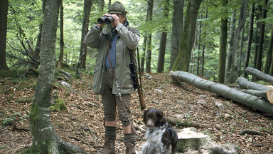 Forsthaus Falkenau - über Den Wolken