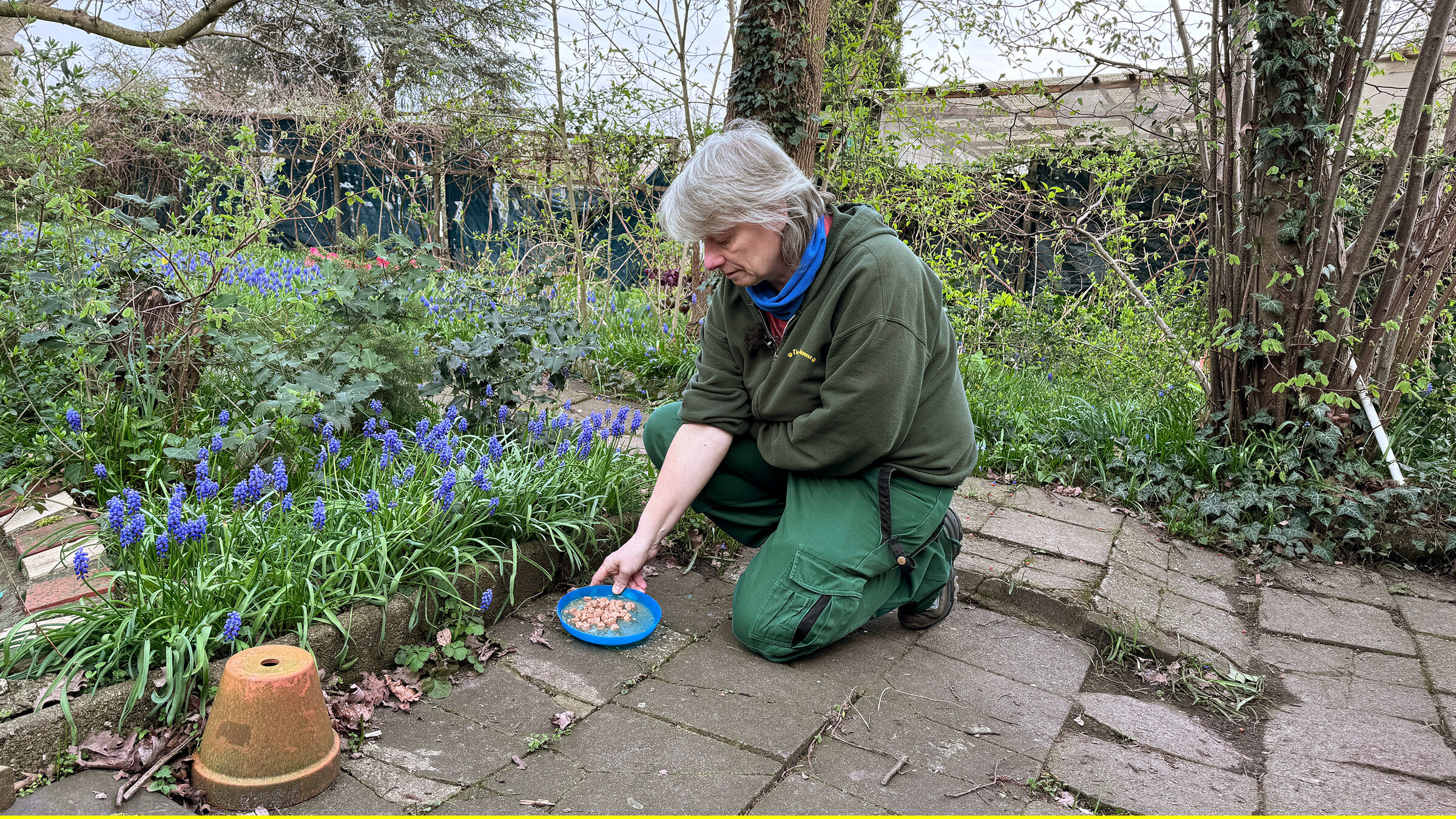 "Die Nordreportage: Streuner": Doris Hain kümmert sich für das Tierheim Hannover um Streunerkatzen und betreut Futterstellen.