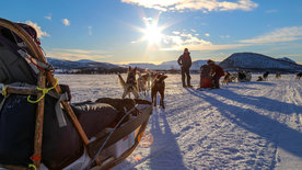 Abenteuer Lappland (1/3)