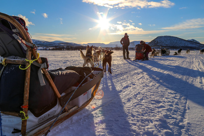 Abenteuer Lappland - Die Husky-Tour des Lebens (1/3)