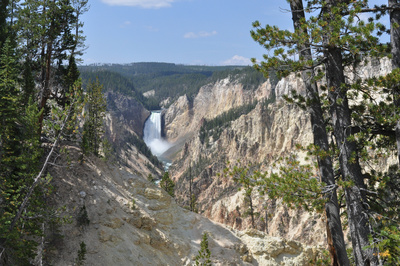 Im Zauber der Wildnis - Yellowstone