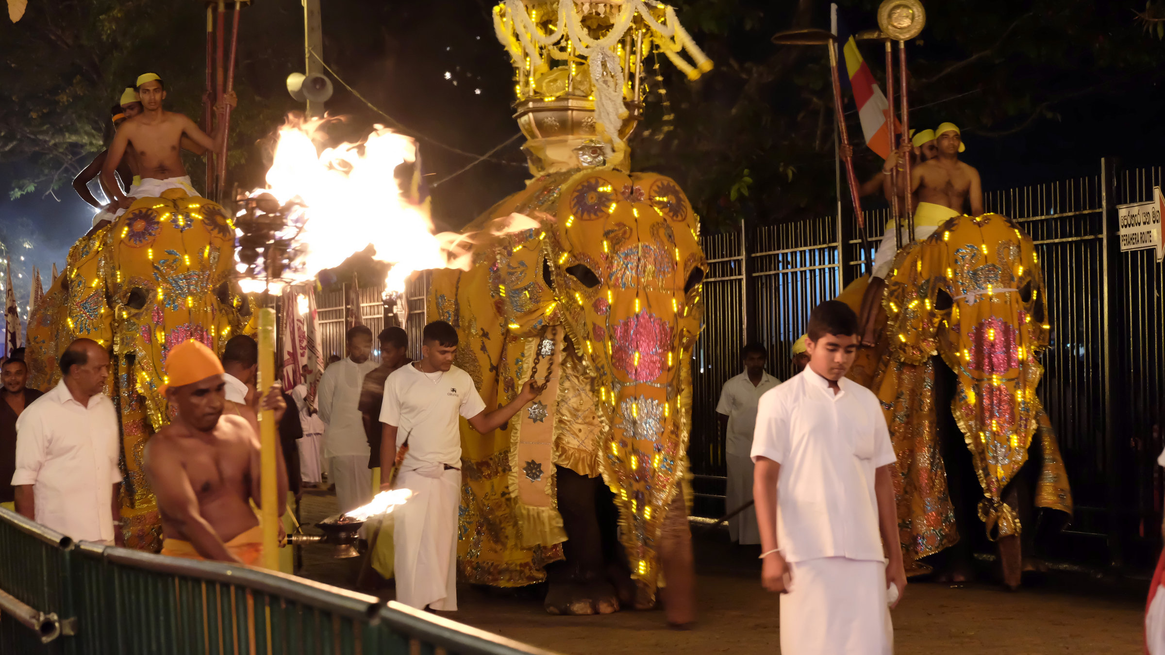 "Sri Lankas Peraheras - Sakrale Elefantenprozessionen": Heilige Reliquie bei der Prozession, Esala Perahera in Kandy.