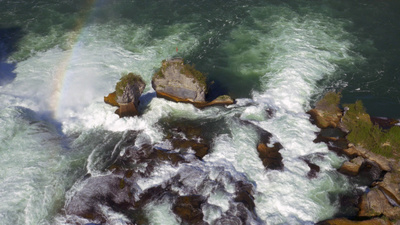 Bodensee - Wildnis am großen Wasser