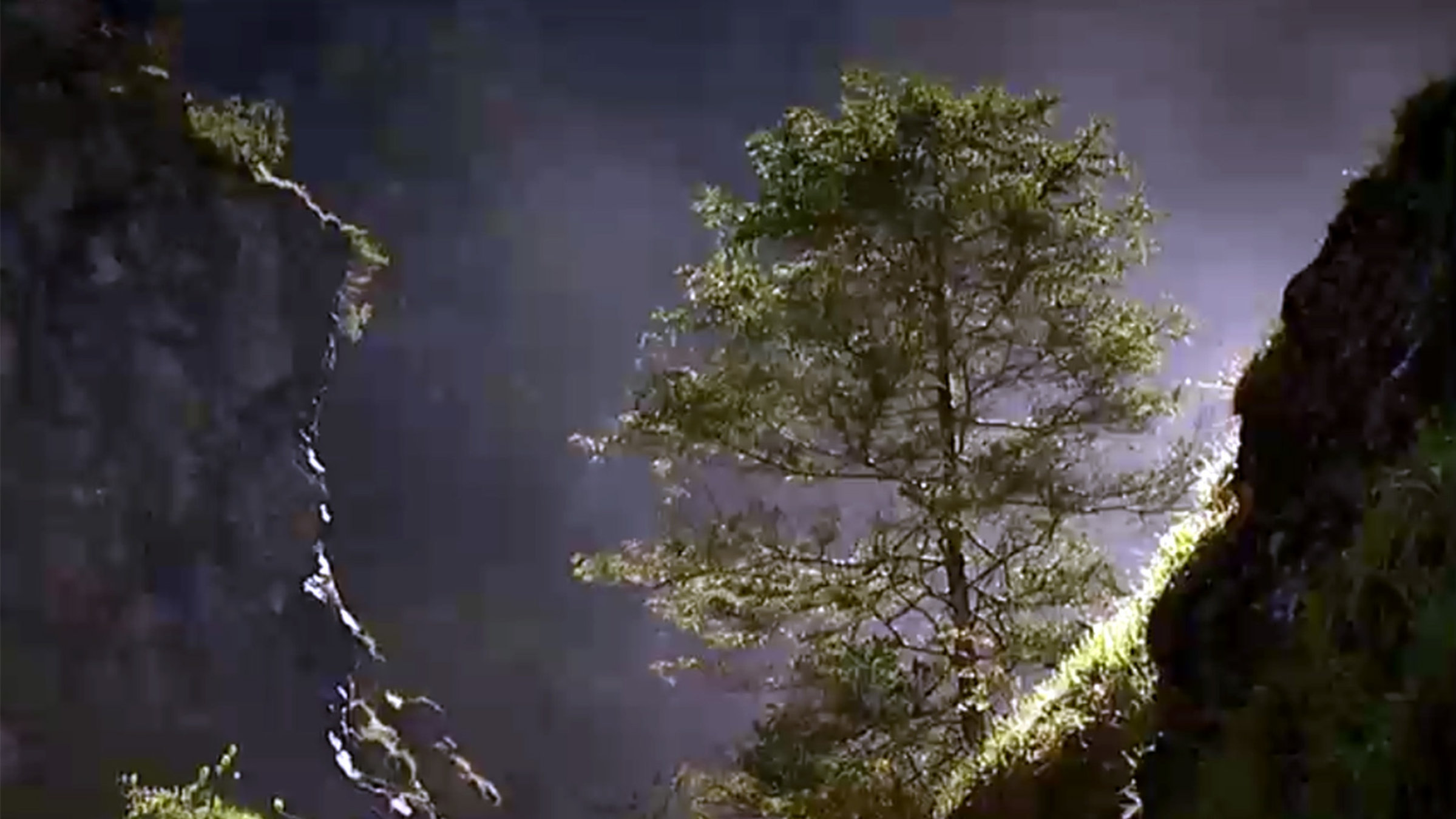 "Naturpark Steirische Eisenwurzen": Baum zwischen Bergen im Mondlicht