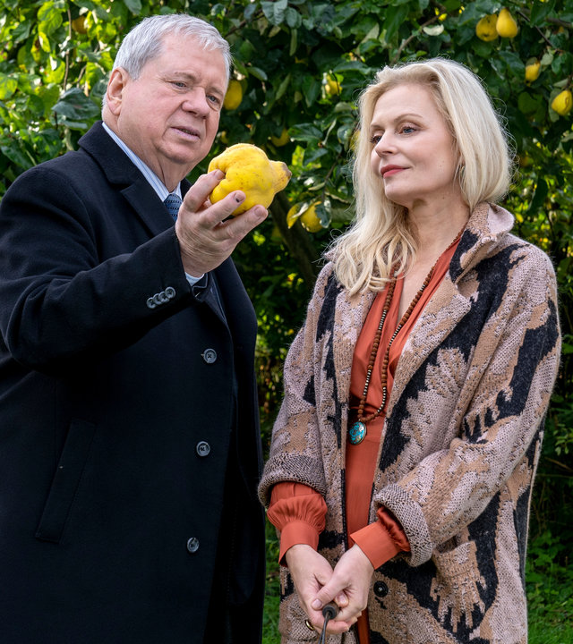 "Der Staatsanwalt - Schuld und Gewissen": Oberstaatsanwalt Bernd Reuther (Rainer Hunold) spricht auf einer Wiese stehend mit Lia Graf (Susanna Simon). Reuther hält eine Quitte in seiner rechten Hand. Beide blicken darauf.
