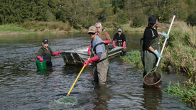 Bayerisch Kanada - Der Schwarze Regen