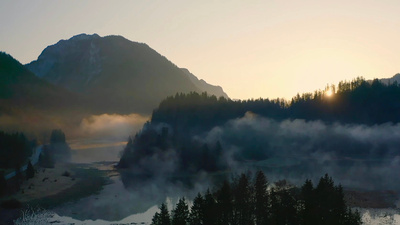 Im Zaubertal der Kröten