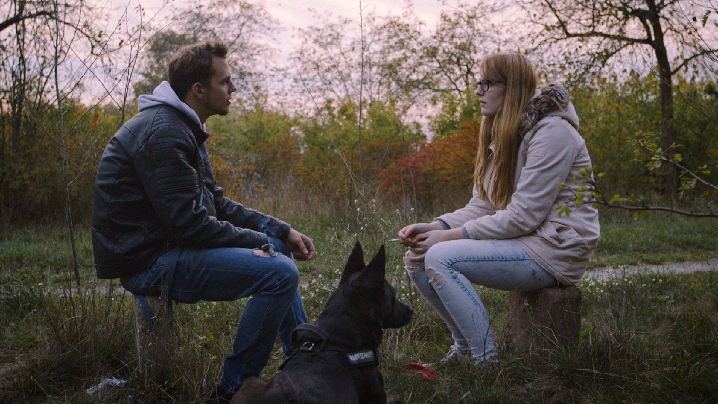"Ab 18! -  Ich habe dich geliebt": Ein junger Mann in Lederjacke und Jeans, den man im rechten Profil sieht, sitzt in einer Wiese am Wegrand auf einem Stein, ihm gegenüber sitzt, ebenfalls auf einem Stein, eine junge Frau mit langen blonden Haaren und einer Brille. Sie trägt eine Jeans und einen hellen Anorak, hält eine Zigarette in der rechten Hand und schaut ihn an. Zwischen ihnen liegt ein schwarzer, großer Hund.
