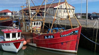 Leben an der Nordsee: Schottland und die Orkneys