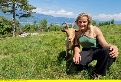 Campervan-Roadtrip in die Steiermark