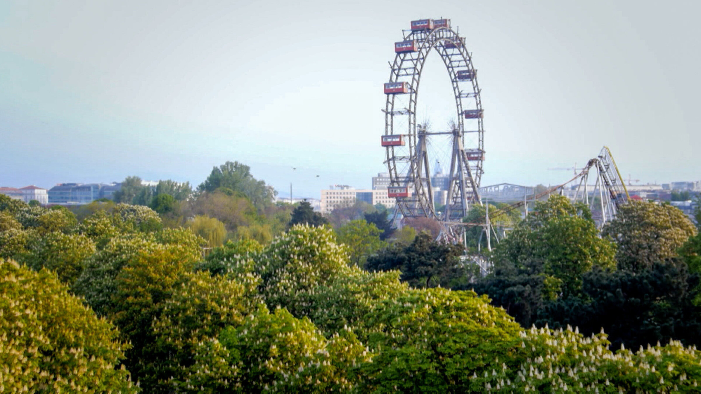 "Die Wurzeln der Wiener Gärten": Die größte Grünanlage Wiens, der Prater.