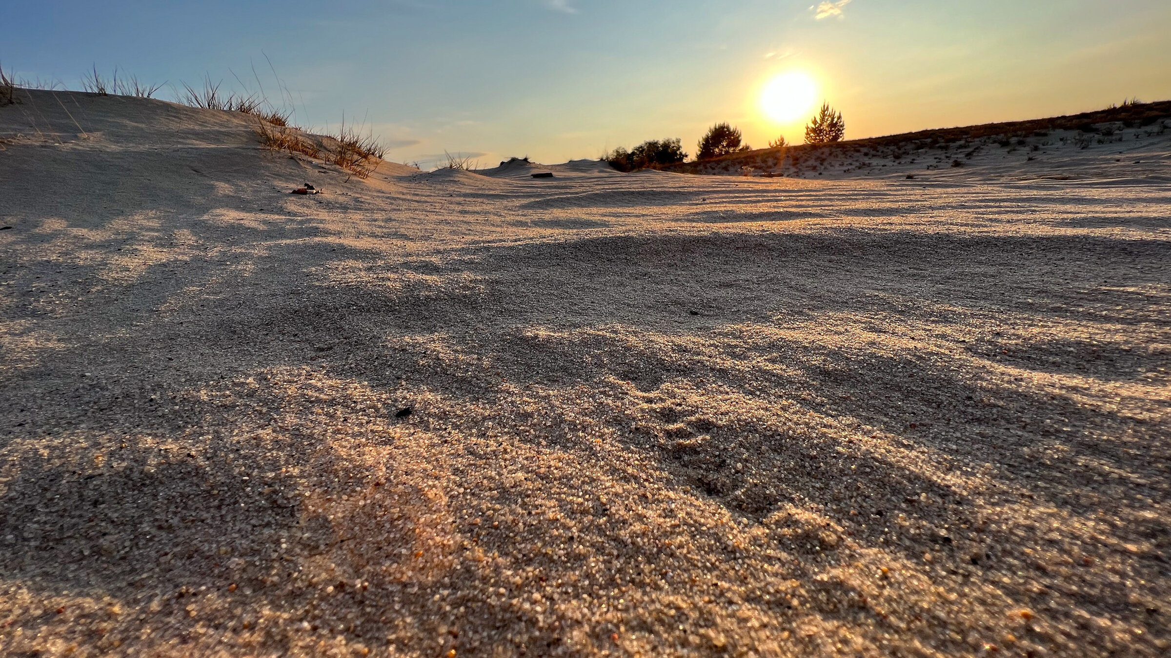 "Wo Brandenburg am schönsten ist: Der Norden und Der Süden": Brandenburgs größte Binnendüne erinnert an Ostseestrände. Tatsächlich handelt es sich um einen ehemaligen Truppenübungsplatz, der nun ein Rückzugsgebiet für die Natur ist.