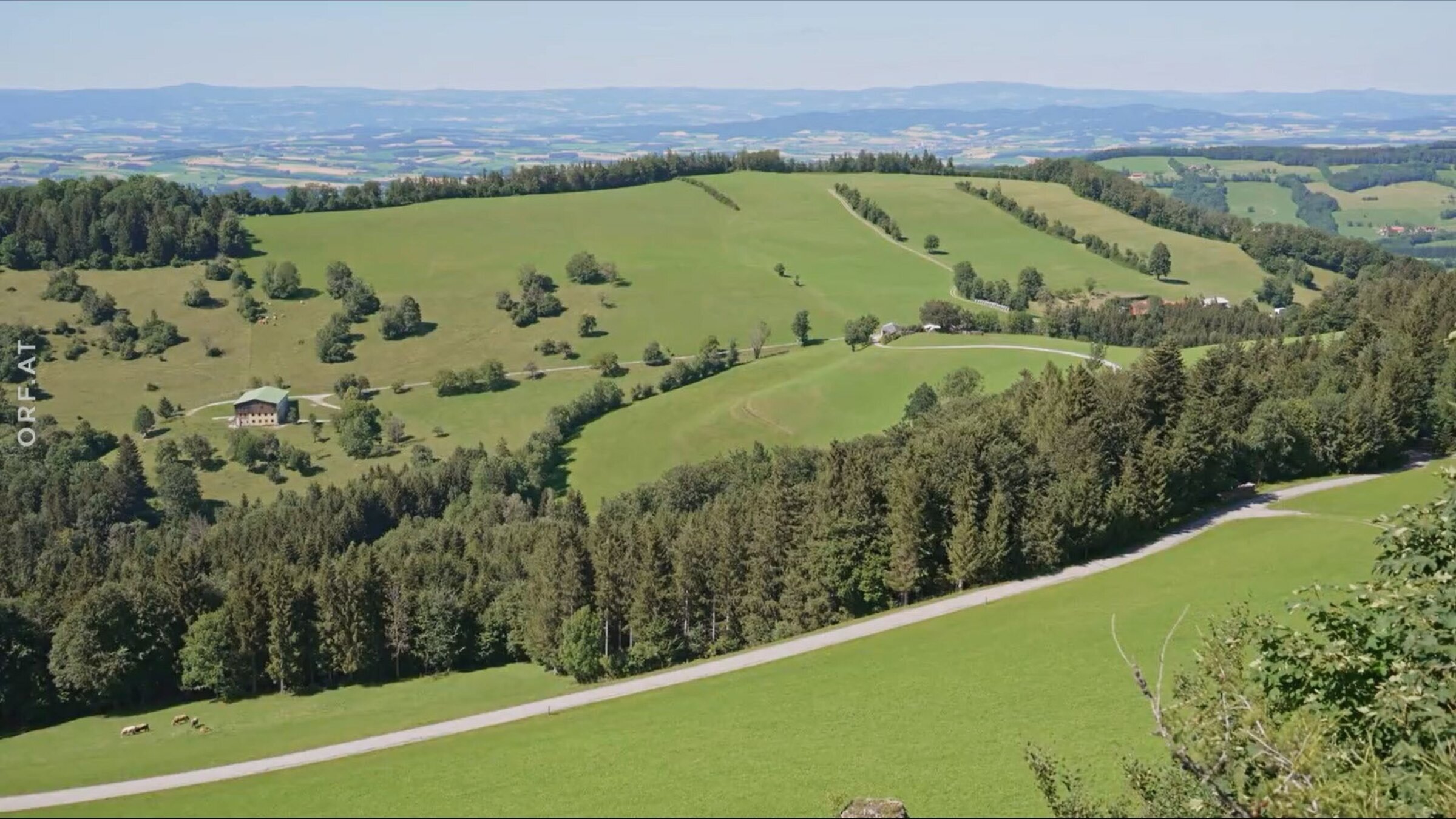 "Vielfalt erleben - Eine Reise durch das Melker Alpenvorland": Das Melker Alpenvorland mit seiner sanften Hügellandschaft.
