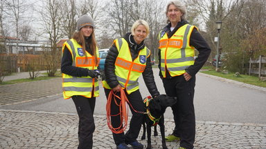 Terra Xpress - Brutale Hundehasser Und Kühe Auf Der Flucht