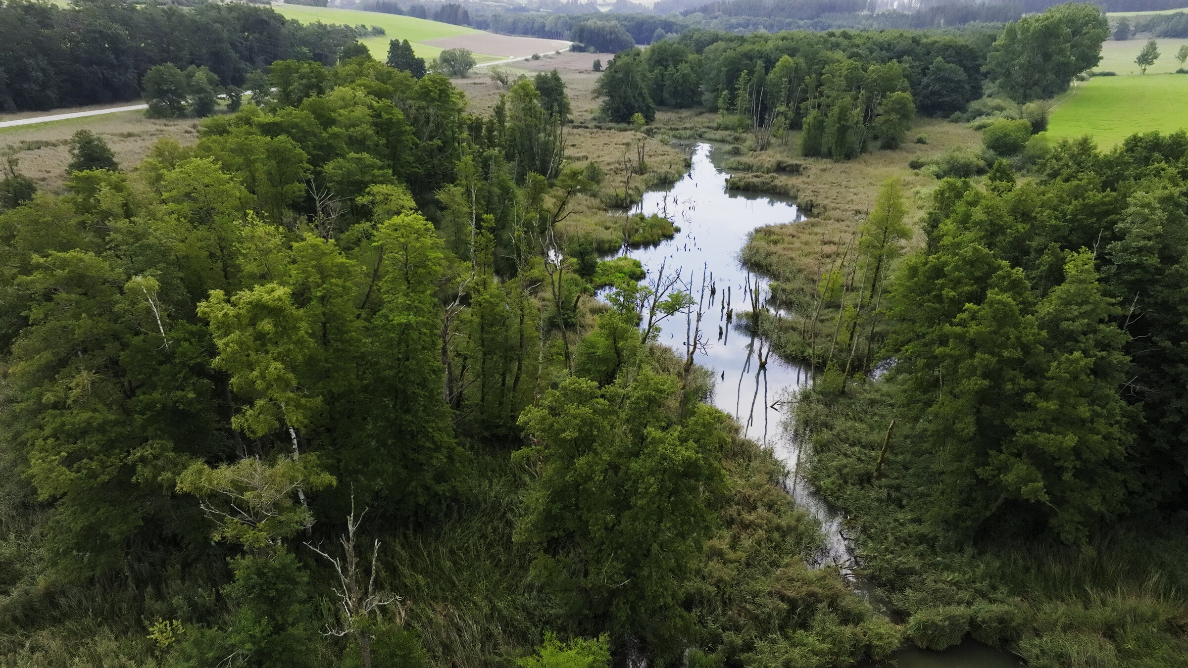 "Versteckte Paradiese - Im Tal der Schwarzen Laber": Langsamer Wasserabfluss und wasserstauende Tonschichten im Untergrund haben das einmalige, sieben Kilometer lange Deusmauer Moor entstehen lassen, Besonders typisch sind hier die orchideenreichen Feuchtflächen. Damit die Artenvielfalt erhalten bleibt, muss jedes Jahr das Schilf gemäht werden.