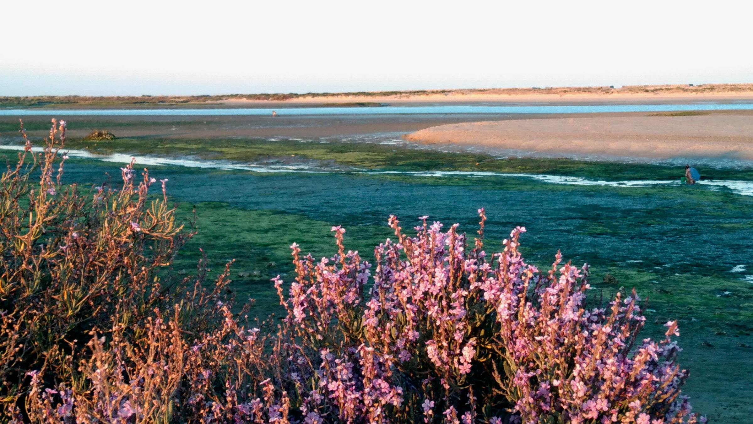"Eine Reise in den Südosten Portugals": Blick auf die Lagune Ria Formosa bei Tavira an der Ostalgarve.