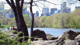 Central Park - Das Herz Manhattans