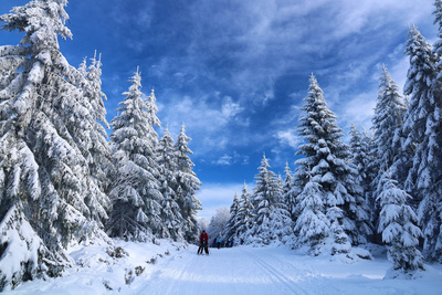 Alpine de luxe - Skisport nur für Reiche?