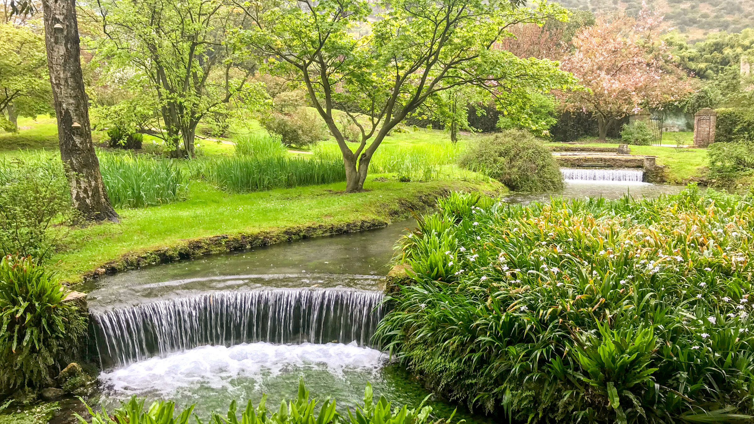 "Traumgärten in der ewigen Stadt" - Garten von Ninfa.
