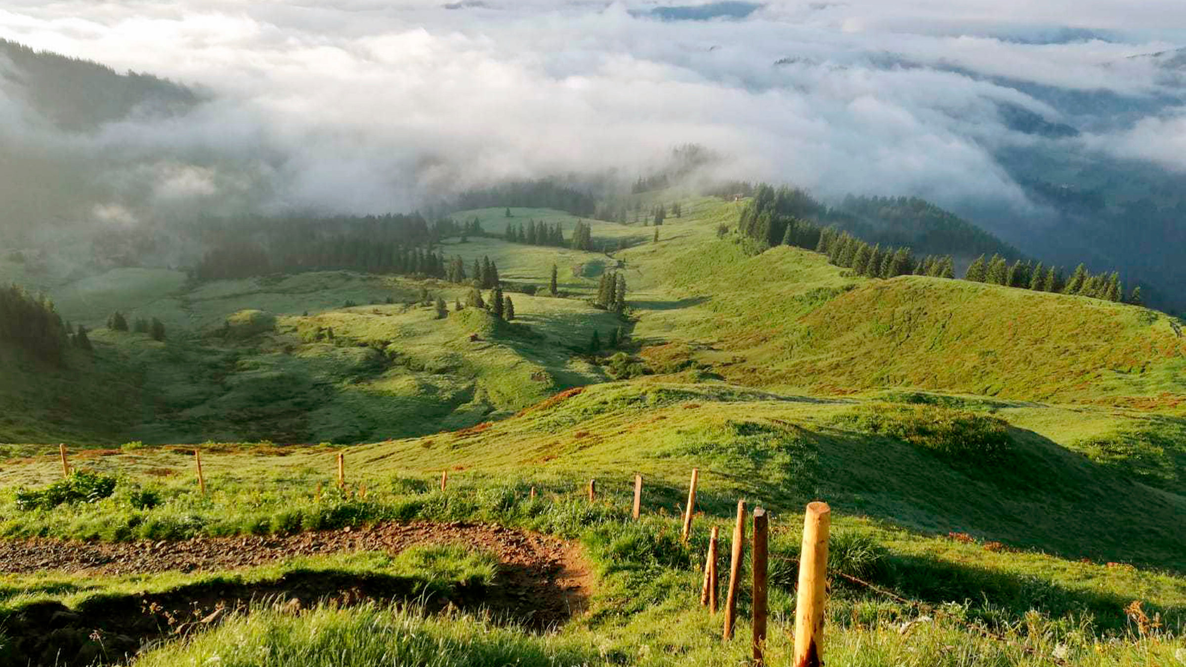 "Allgäu, da will ich hin!": Morgenstimmung auf dem Riedberger Horn