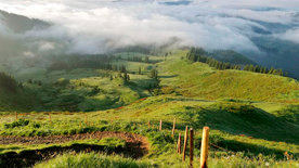 Allgäu, da will ich hin!