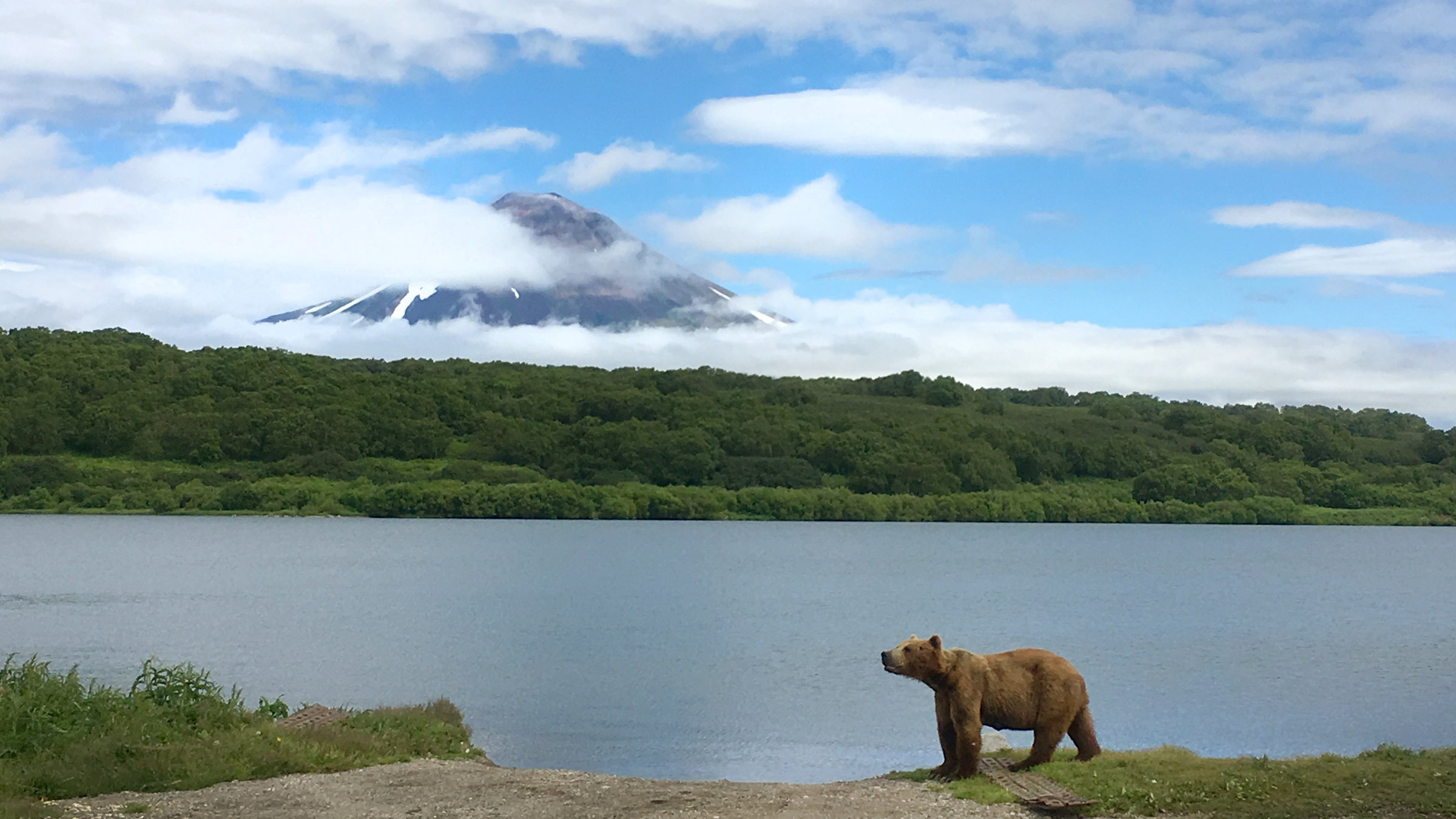 "Russlands versteckte Paradiese": Braunbär vor einer Vulkanlandschaft am Kurilensee.