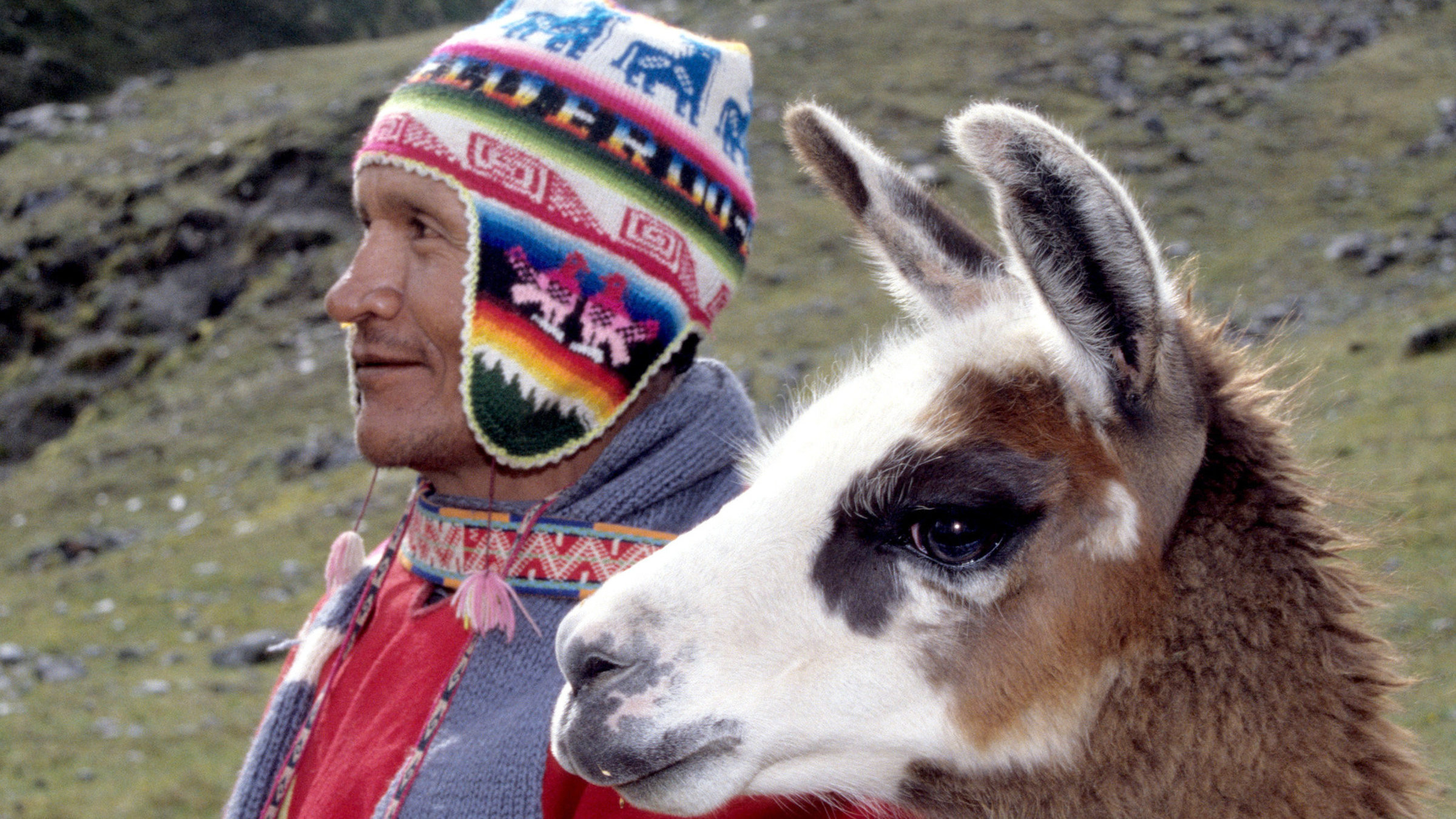 "Die letzten Nomaden" - Mann mit einem Lama