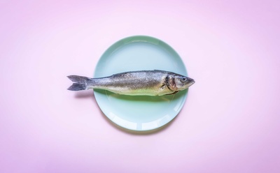 makro: Welcher Fisch darf auf den Tisch?